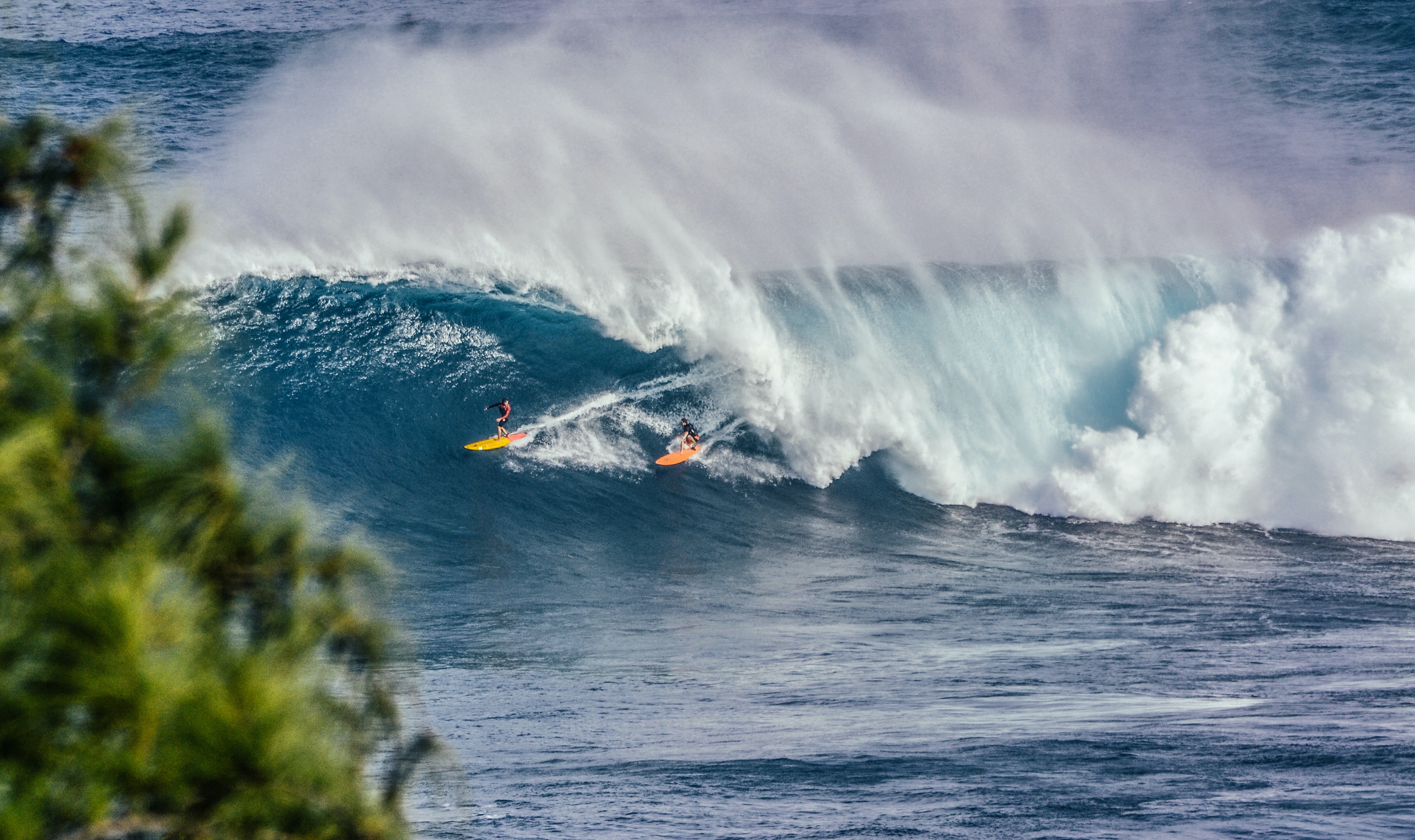 Two surfers on a wave.